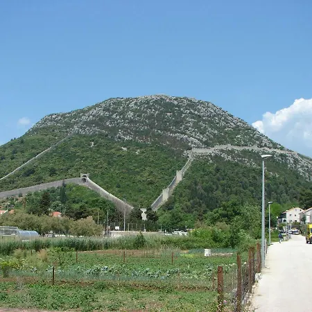 Iva Lavanda Holiday home Putnikovic