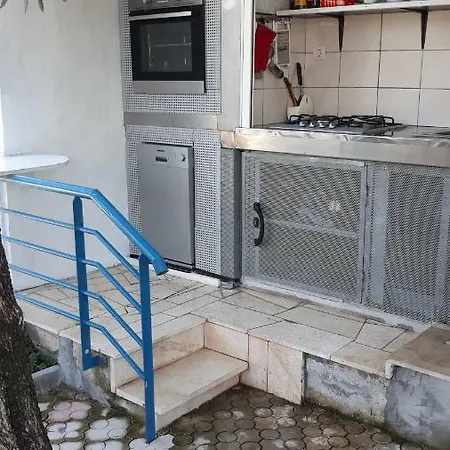 Iva Lavanda * Putnikovic